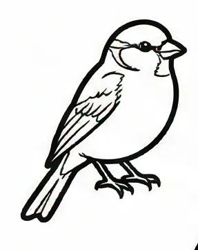 a bird sitting on a branch with a white background 2.webp